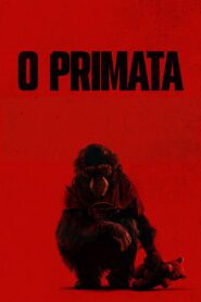 O Primata