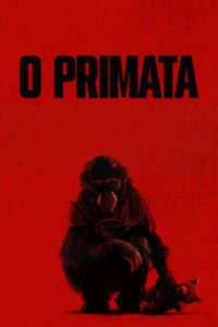 O Primata