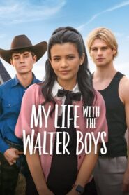 Minha Vida com a Família Walter 2 Temporada